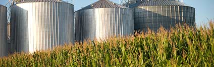 Long-term pick Bunge gets motivated